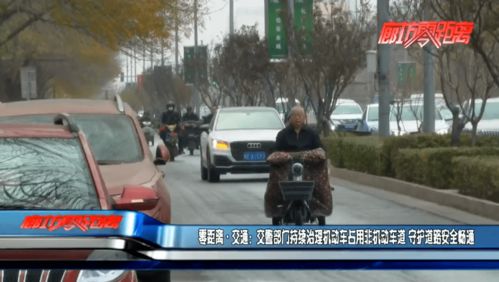 交警嚴(yán)管與源頭治理雙管齊下，守護(hù)道路安全暢通